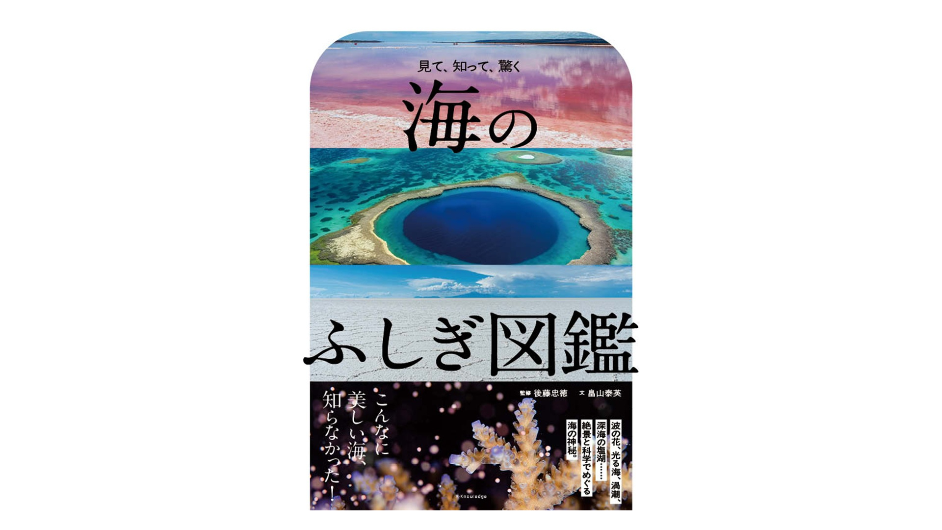 GOMA POCKET 書籍セット 6冊 (黙示録、夜、浮気、地震、日本語) Amazon.co.jp: 海のふしぎ図鑑 : 後藤忠徳, 畠山泰英: 本